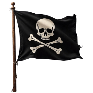 Pirate flag icon